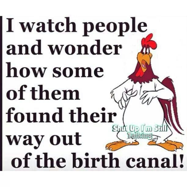 FOGHORN LEGHORN QUOTE 3.jpg