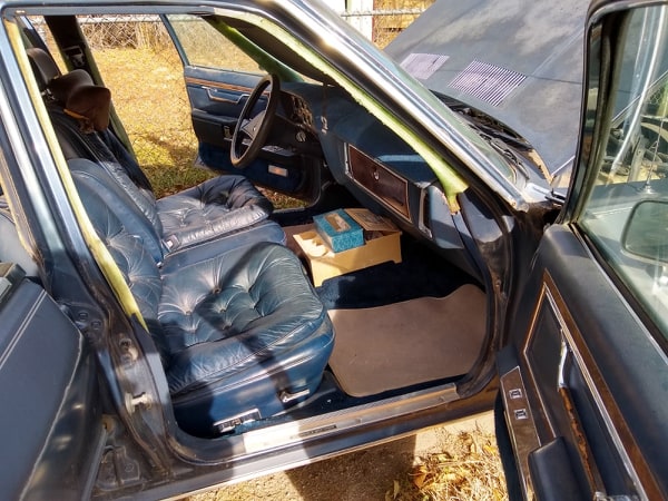 Front Seat View.jpg