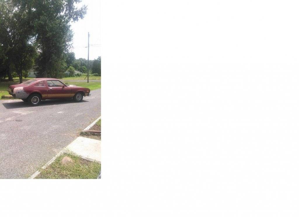 Gators 79 out front.jpg