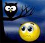 halloween-owl.jpg
