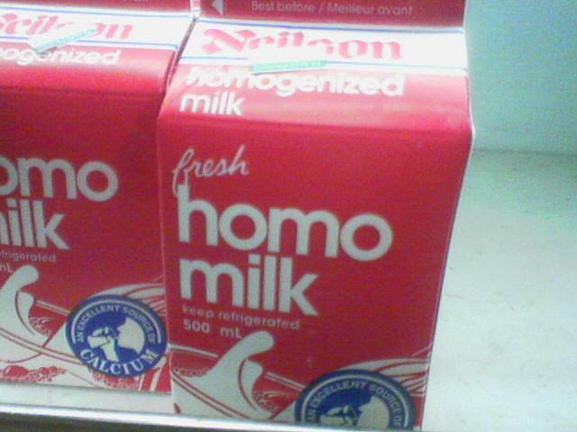 homo.jpg