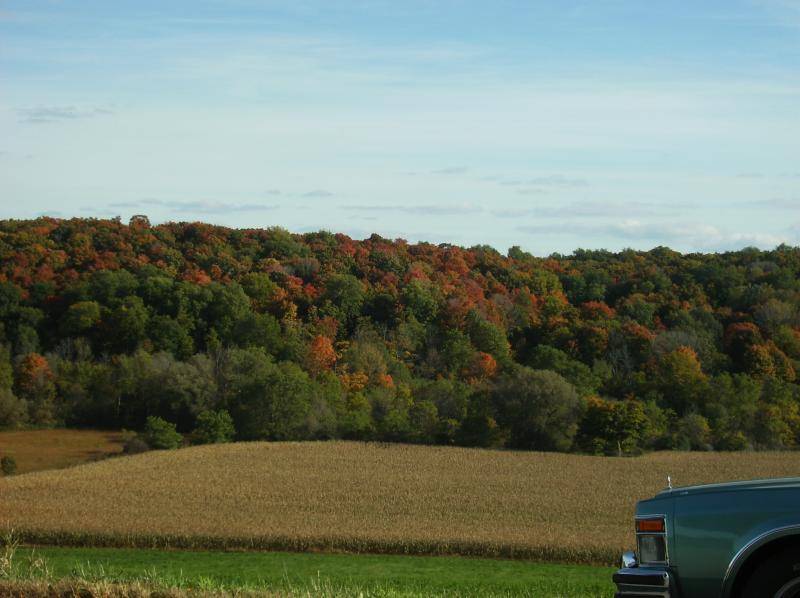 HPIM0690fall.jpg