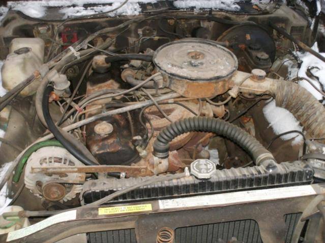 HPIM1492 (640x480).jpg