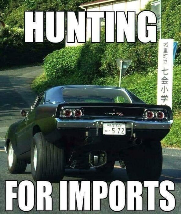 Hunting for imports.jpg
