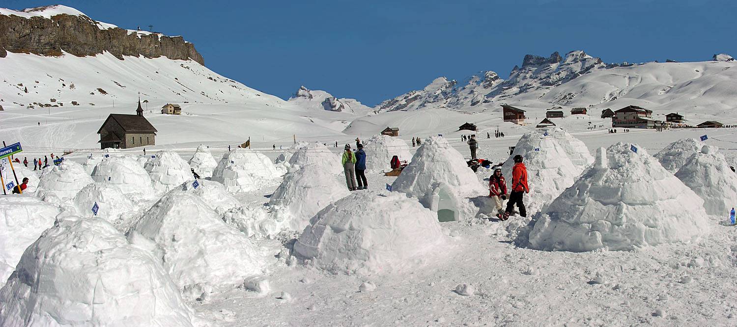igloo.jpg