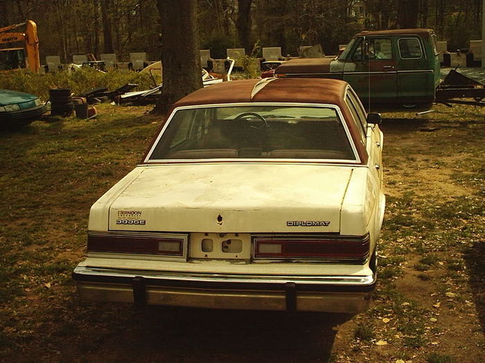 IM002582.jpg