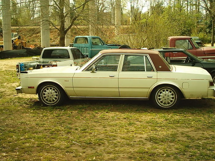 IM002583.jpg