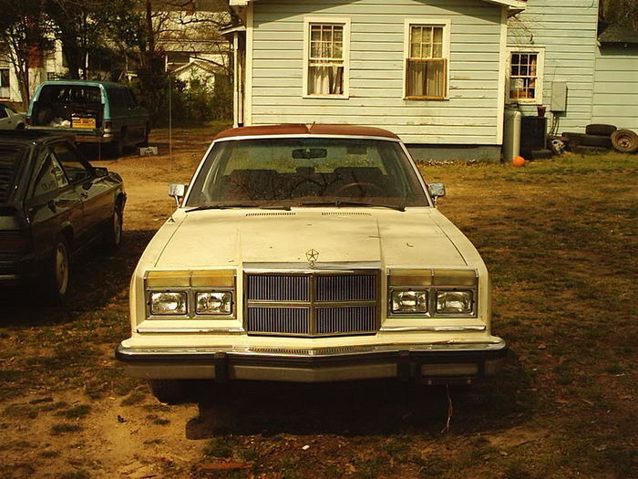IM002584.jpg