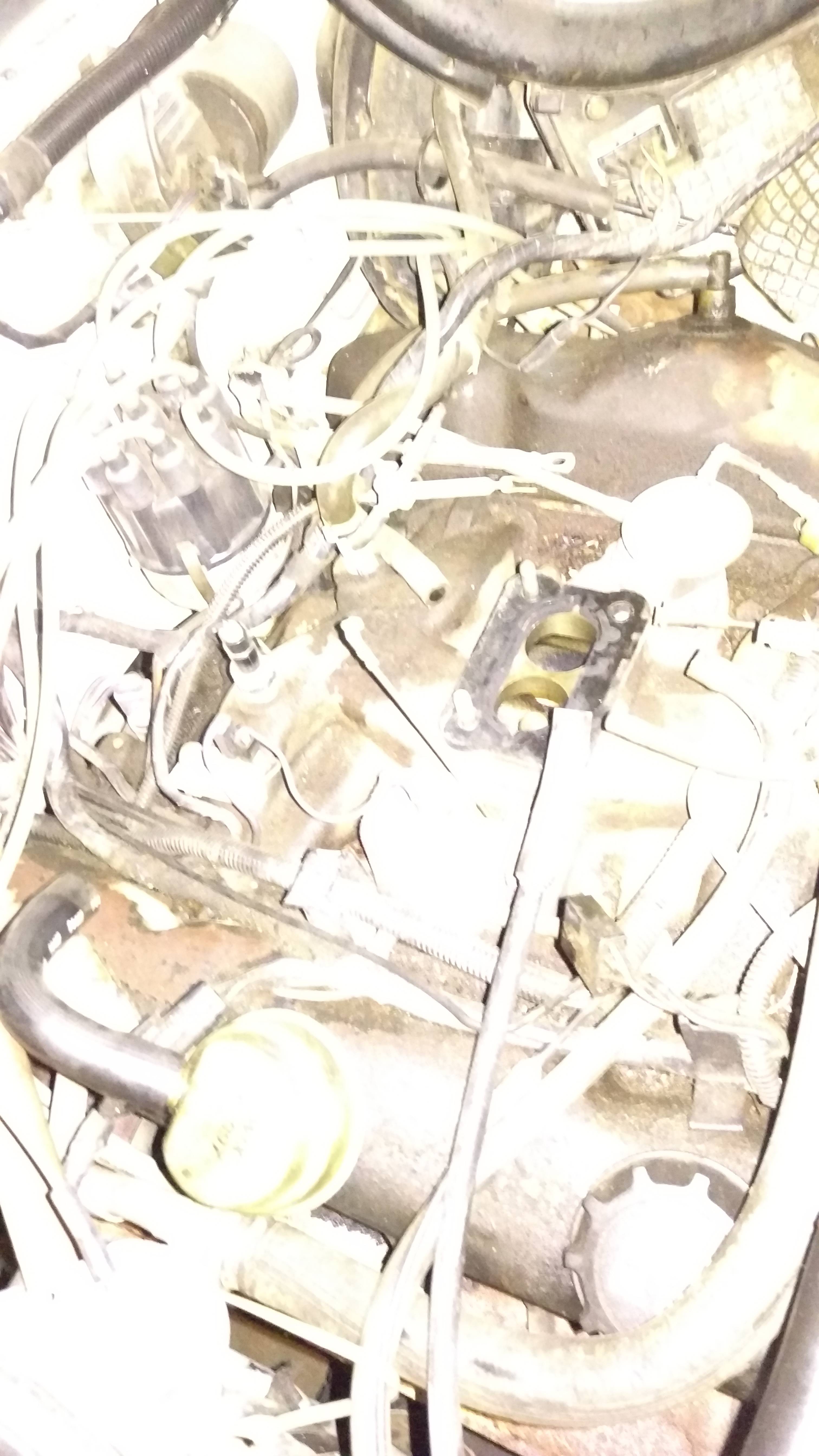 IMAG0056.jpg
