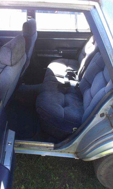 IMAG0222.jpg