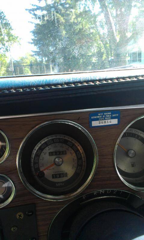 IMAG0223.jpg