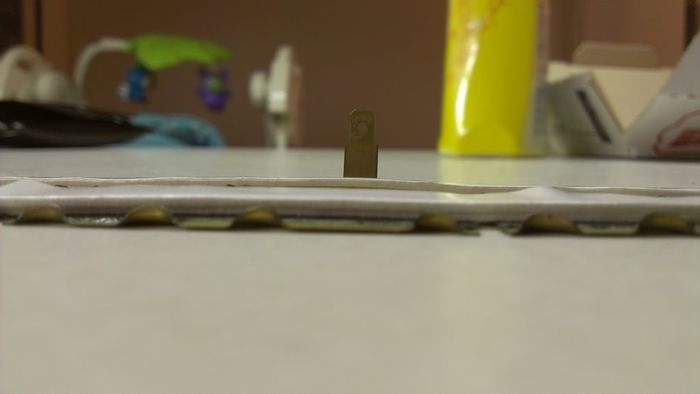 IMAG0399.jpg