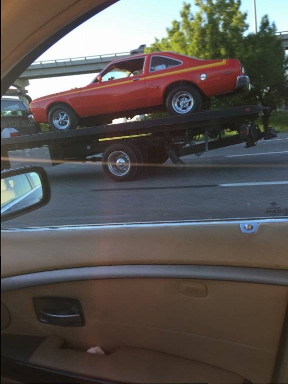 image.jpeg