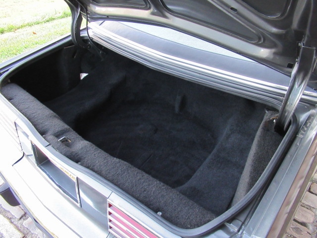 IMG-4837.jpg