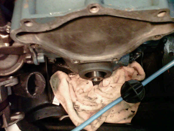 IMG00015-20101019-2042.jpg