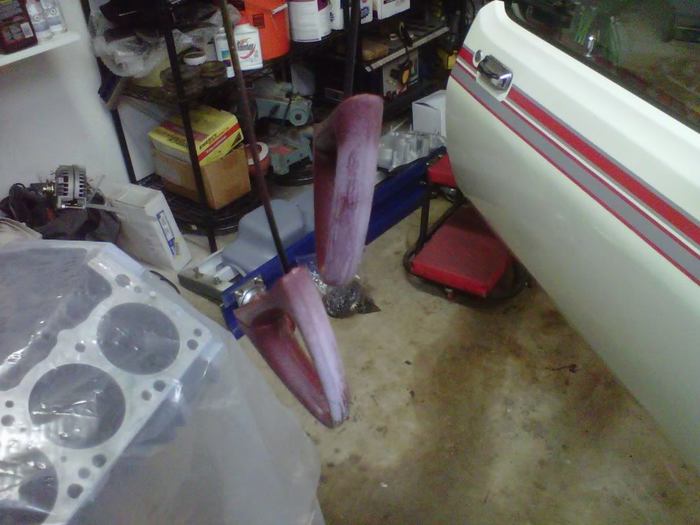 IMG00075-20110217-2037.jpg