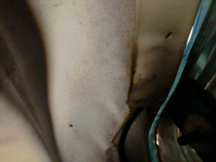 IMG00078-20101103-2129.jpg