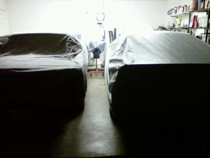 IMG00101-20101107-2130.jpg