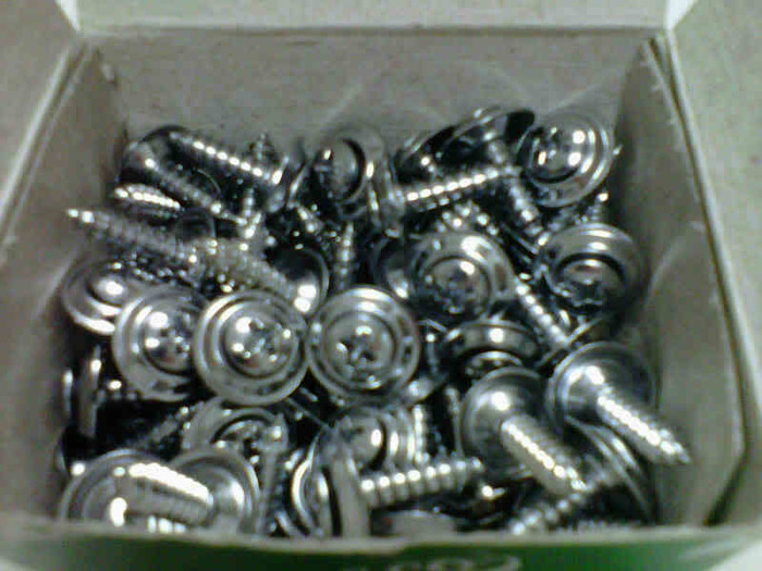 IMG00106-20101108-1318.jpg