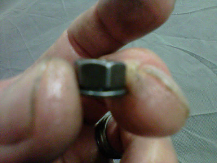 IMG00112-20101108-2005.jpg