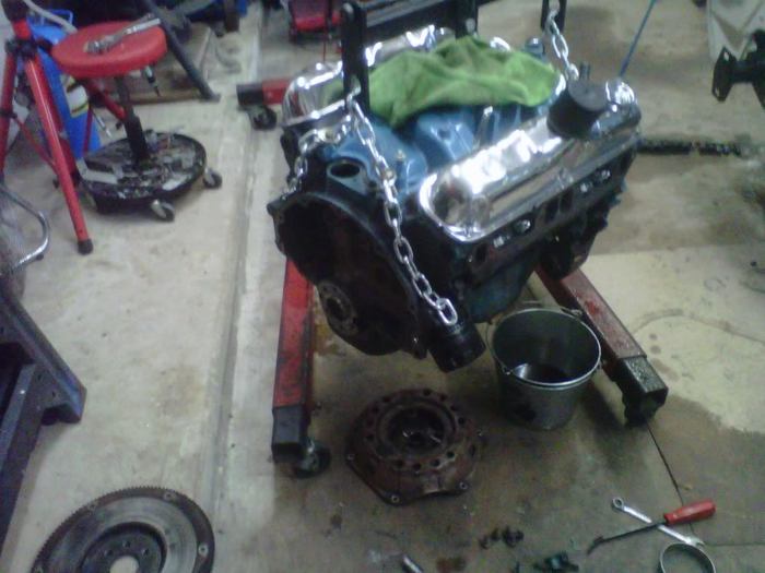 IMG00156-20110226-1809.jpg