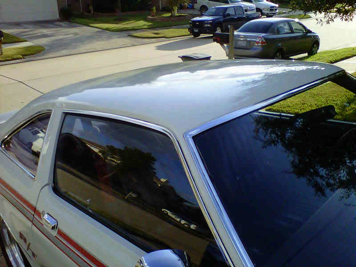 IMG00170-20101121-1607.jpg