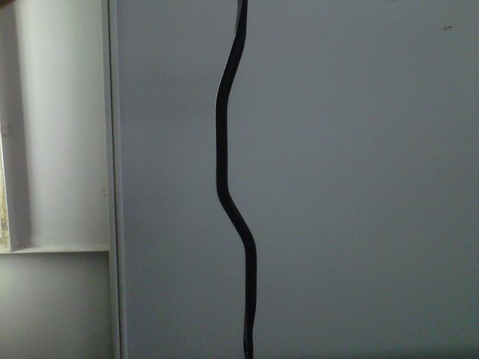 IMG00286-20110313-1349.jpg