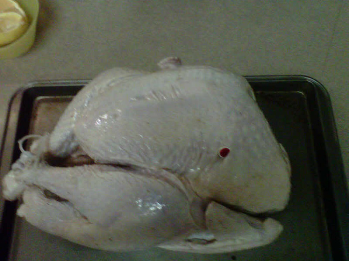 IMG00303-20101129-2027.jpg