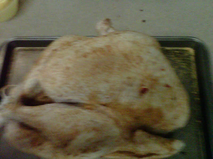 IMG00304-20101129-2028.jpg