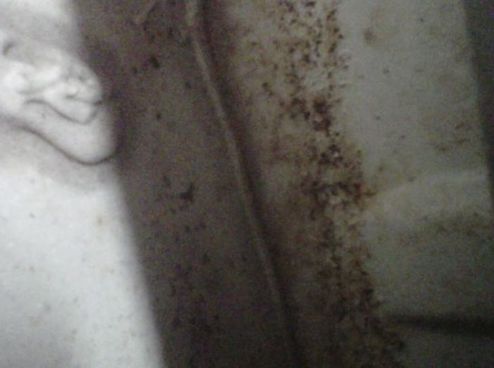 IMG00308-20110315-2049.jpg