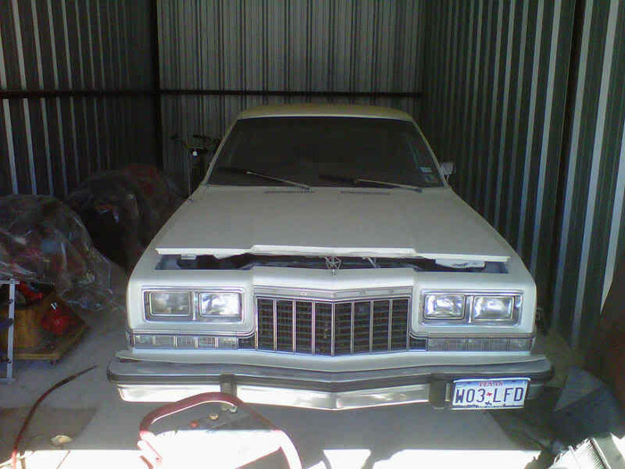 IMG00363-20101213-1249.jpg