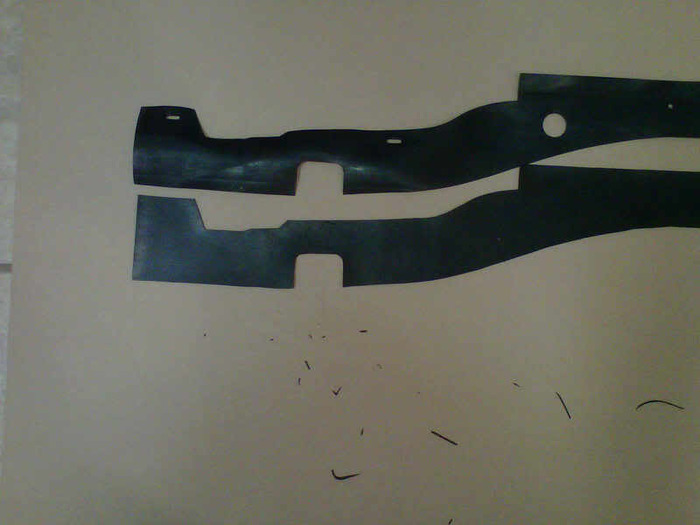 IMG00375-20101213-2230.jpg