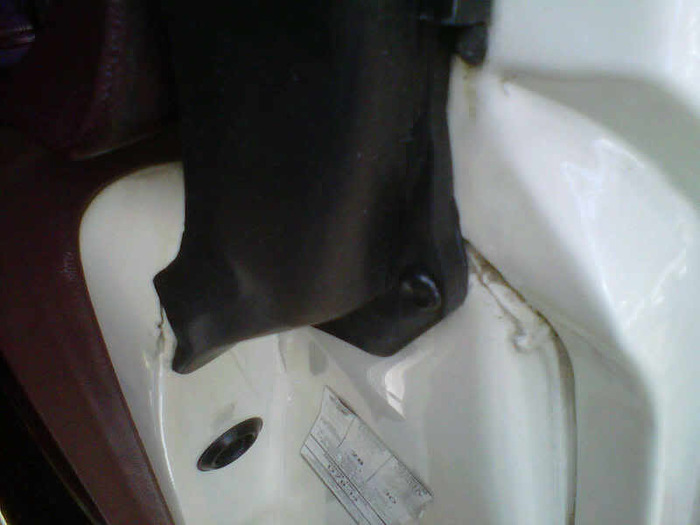 IMG00388-20101215-1513.jpg