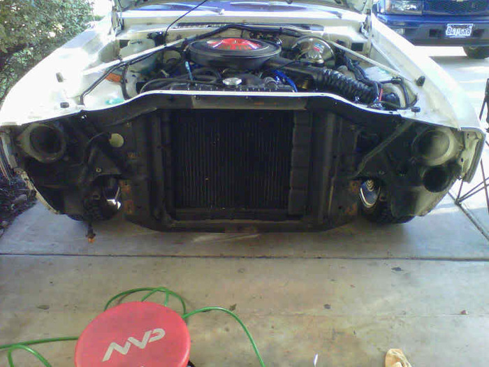 IMG00389-20101215-1639.jpg