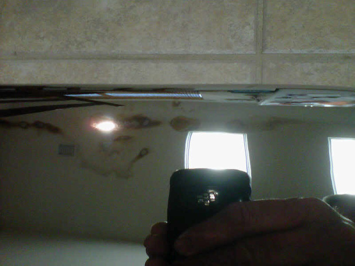 IMG00391-20101216-1609.jpg
