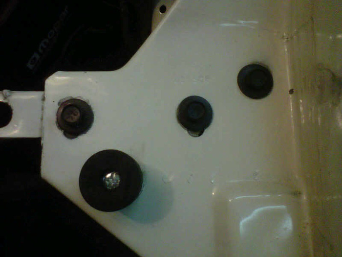 IMG00466-20110106-2115.jpg