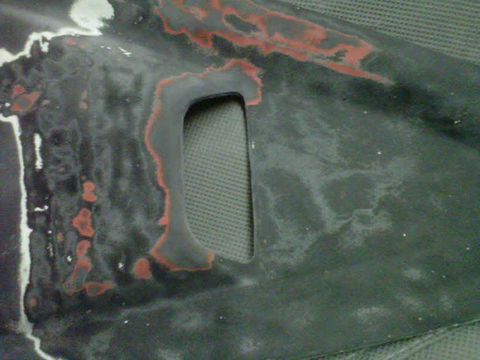IMG00491-20110112-2135.jpg