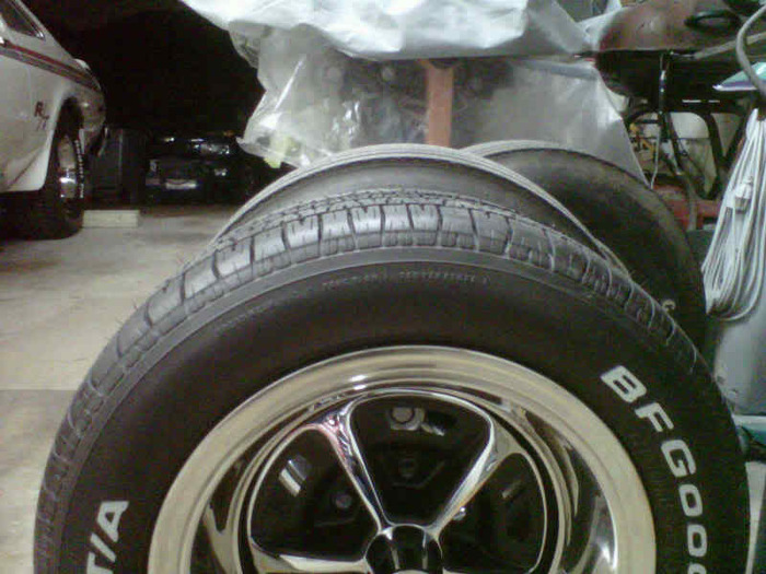 IMG00499-20110114-1947.jpg
