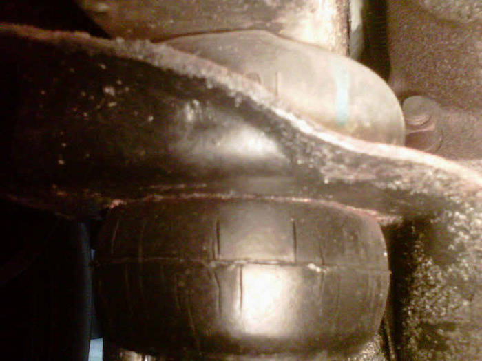 IMG00502-20110114-2003.jpg