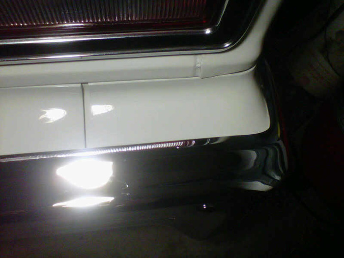 IMG00517-20110115-2035.jpg