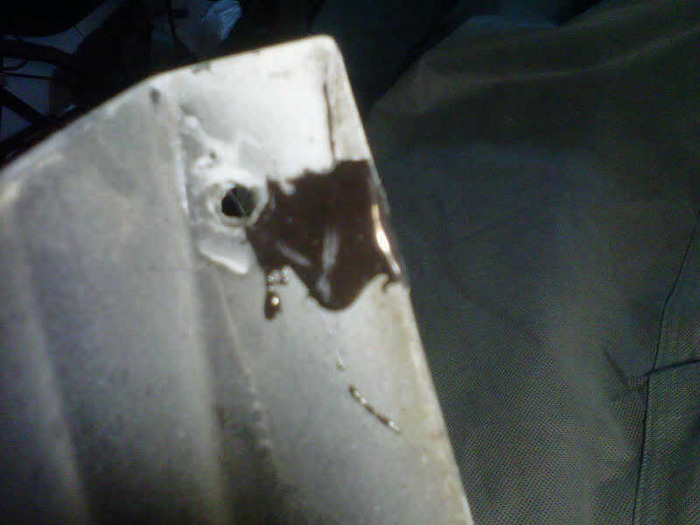 IMG00522-20110115-2148.jpg