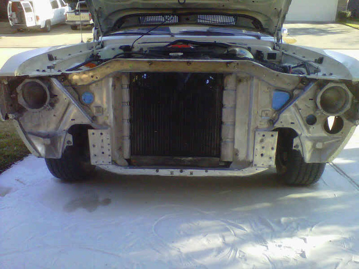 IMG00557-20110122-1609.jpg