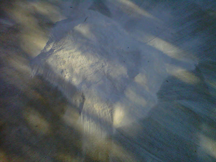IMG00558-20110122-1618.jpg