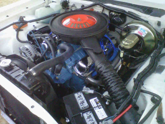 IMG00559-20110122-1748.jpg