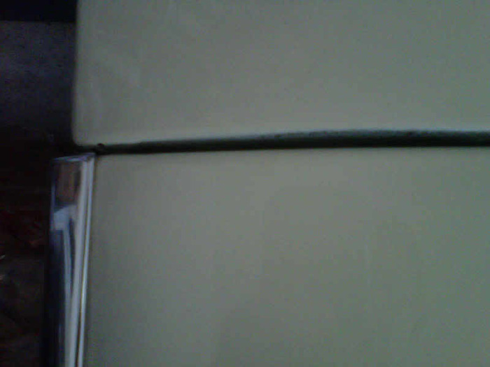 IMG00563-20110123-1249.jpg