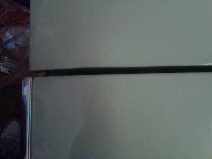 IMG00565-20110123-1255.jpg