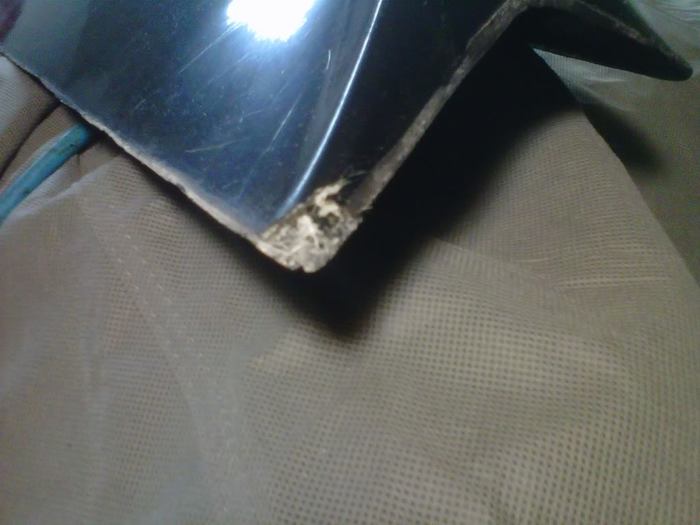 IMG00594-20110128-1911-1.jpg