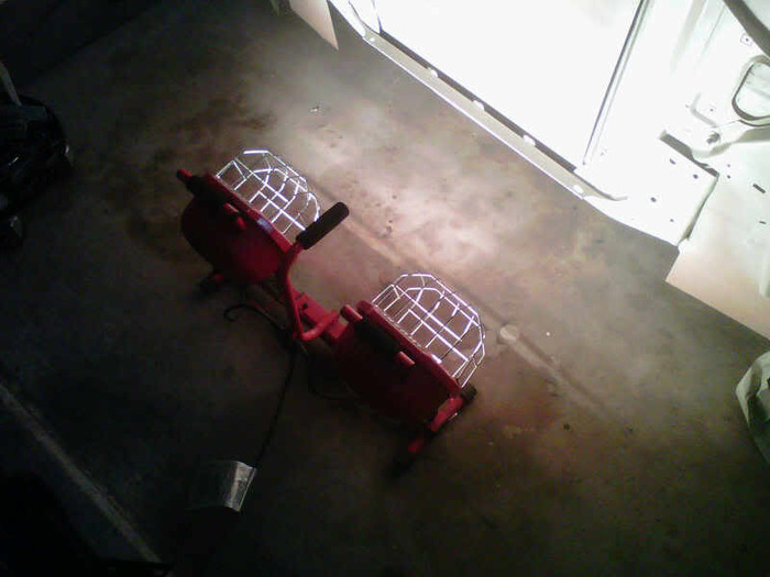 IMG00603-20110129-1113.jpg