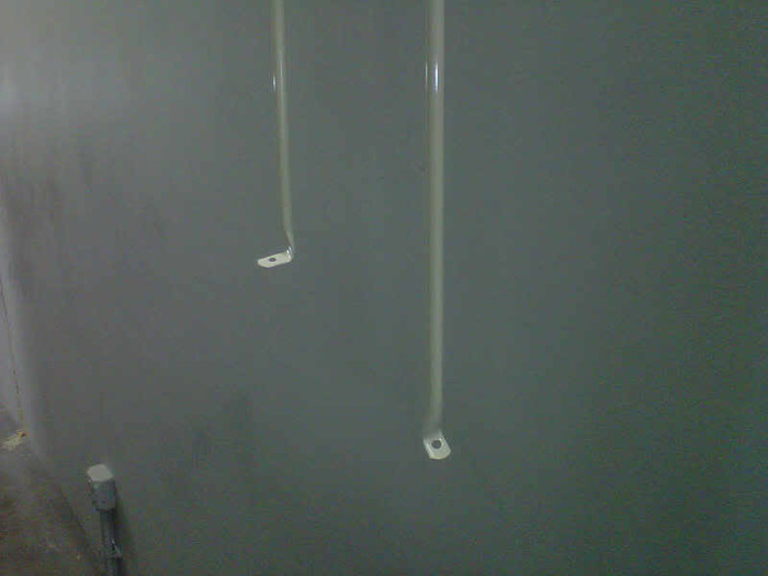 IMG00613-20110130-1526.jpg