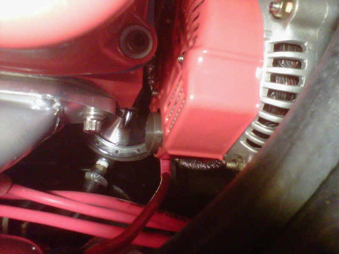IMG00636-20110202-2209.jpg
